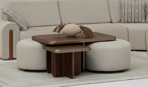 Akustik Orta Sehpa Seti - 1