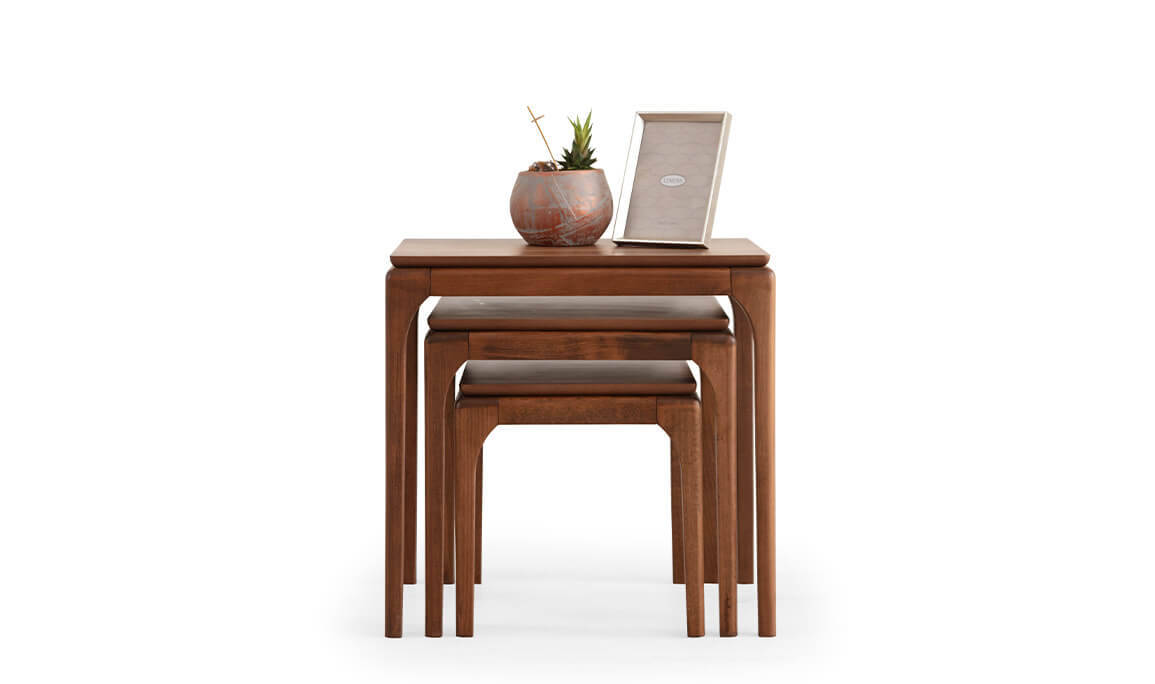 Bongo Ceviz Zigon Sehpa - 2