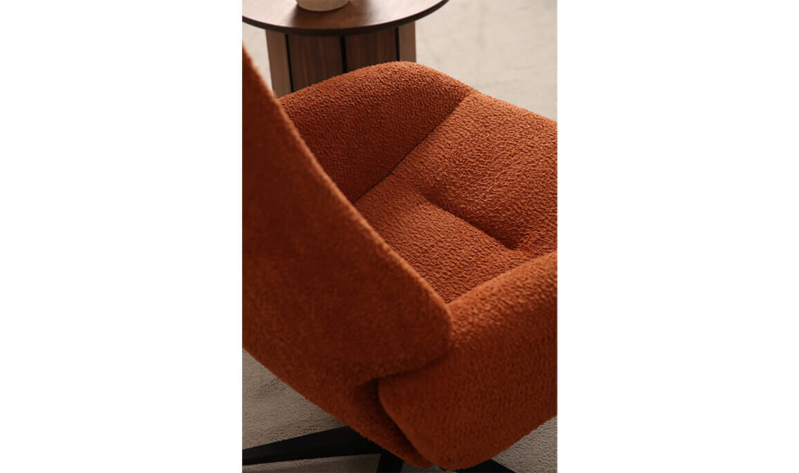 Confort Tv Koltuğu - 6