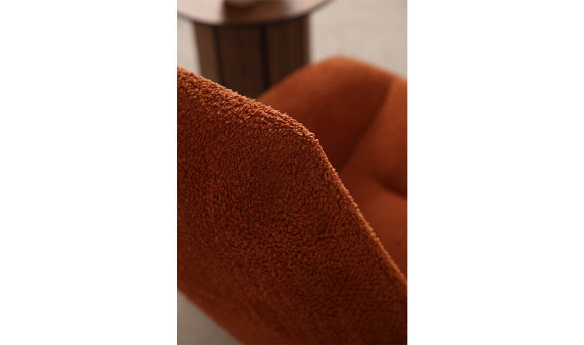 Confort Tv Koltuğu - 7