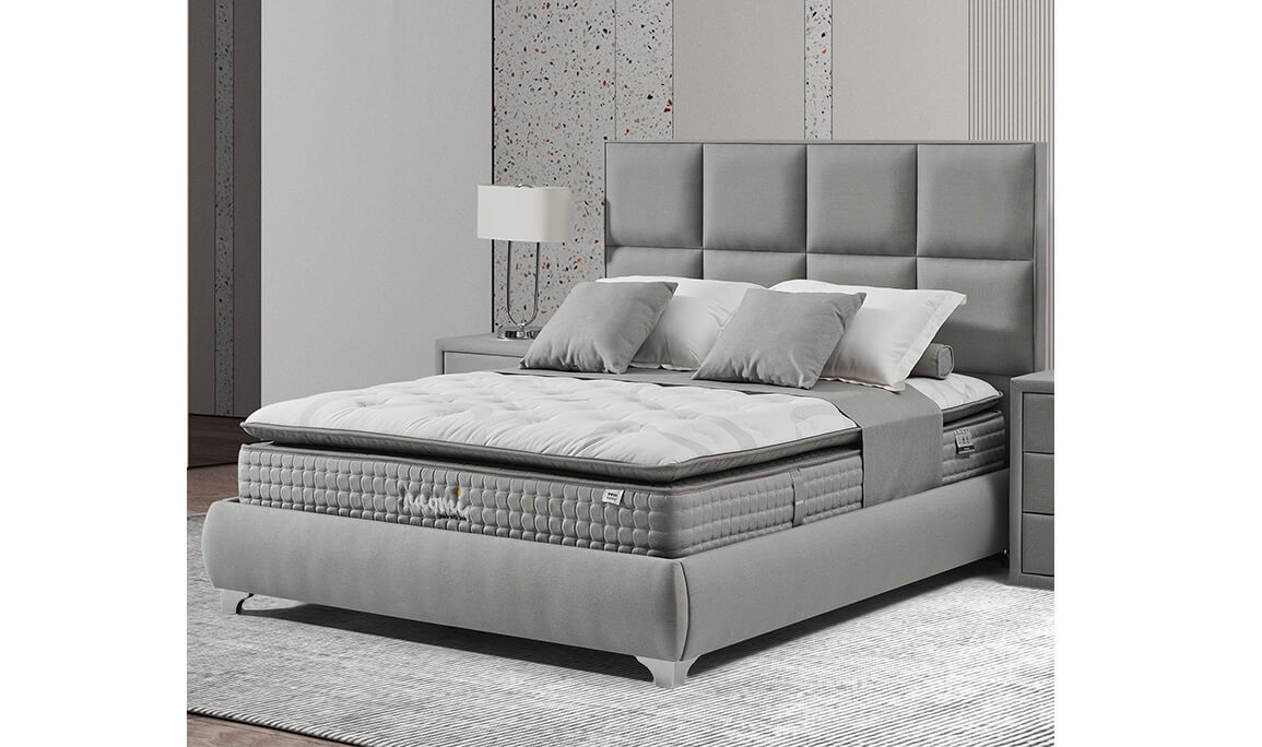 Dion Plane XL Baza Başlık