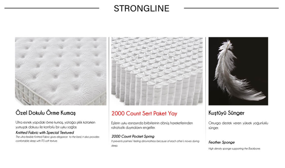 Strongline Viana Baza Başlık Yatak - 6