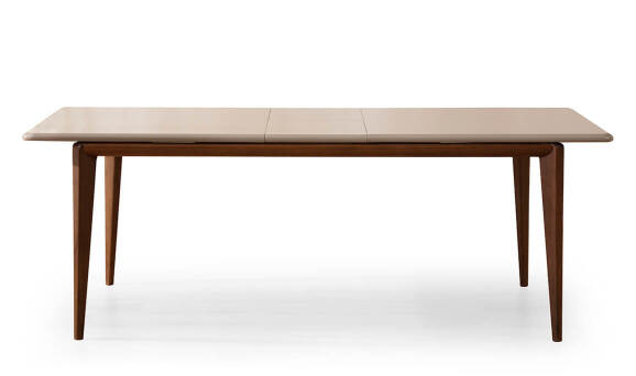 Tokyo Yemek Masası - 3