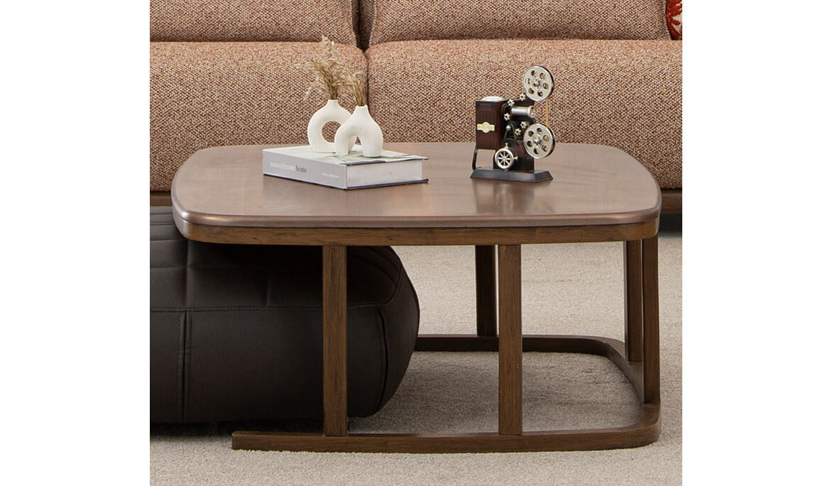 Viyana Koltuk Takımı - 19